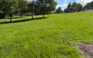 Teren Bran Sohodol 6700 mp - Poză 5