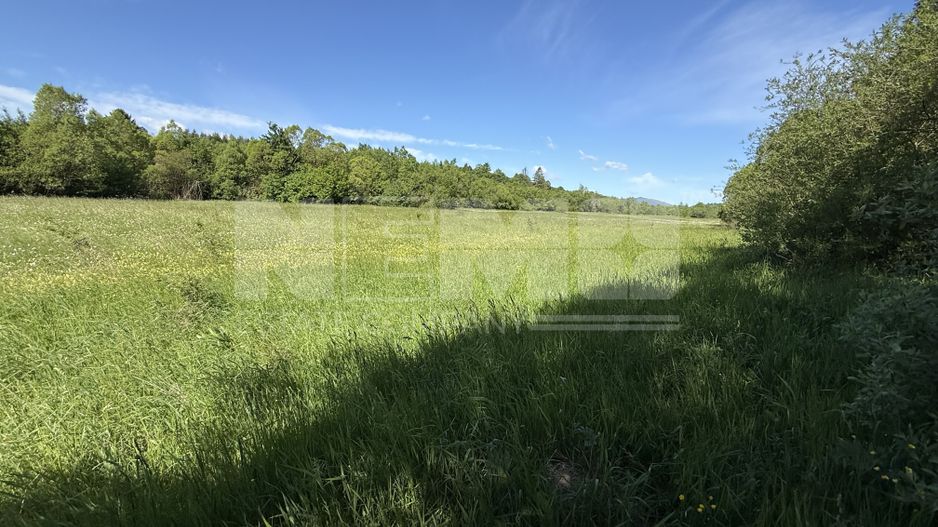 Teren de vânzare | Hardic | 2.300 mp - Poză 3