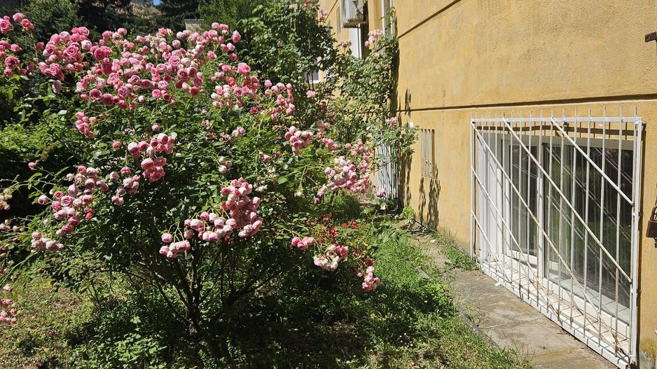 Apartament 2 camere ,zona Afi - Poză 1