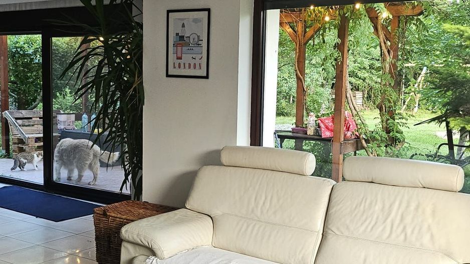 Vila 8 camere Dascalu - Poză 22