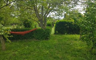 BRASADAS vinde casa individuala in zona Aurel Vlaicu. - Poză 20