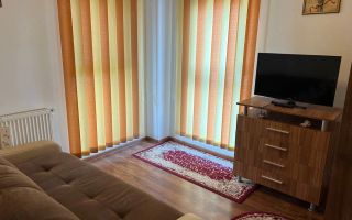 Apartament 2 camere | 42 MPU | Balcon | Doamna Stanca - Poză 7