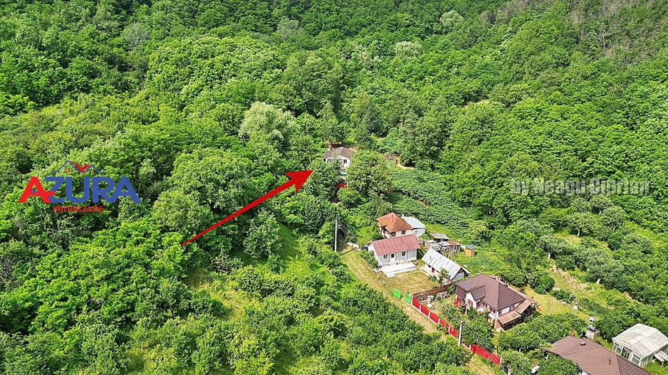 Casă de vânzare la liziera pădurii – Comuna Bogați, Argeș - Poză 3