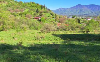 Teren extravilan de vanzare, Bistrita Bargaului- 10 minute de Colibita - Poză 12