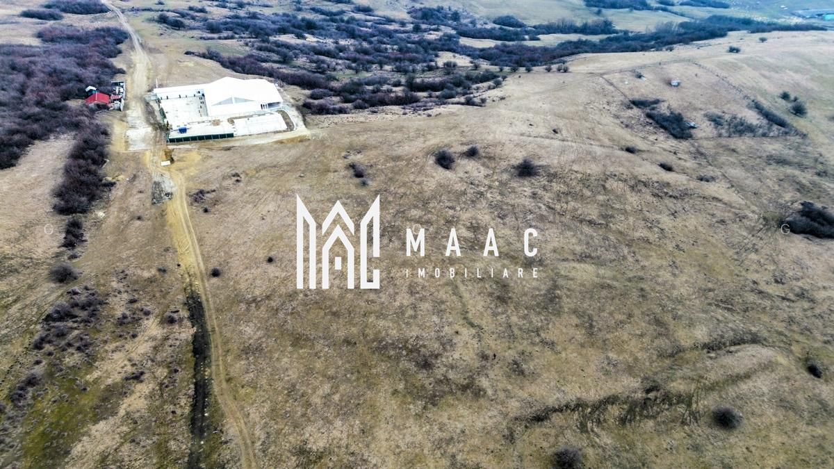 Investiție I Teren extravilan 67.500 mp I Dealul Dăii- Sibiu - Poză 2