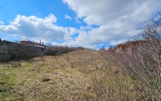 INVESTIȚIE - Teren 10.000 mp, intravilan + extravilan, str. CASTANILOR;