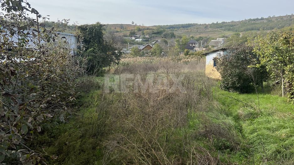 Teren pentru Constructii 32 Ari in Molesti - Poză 3