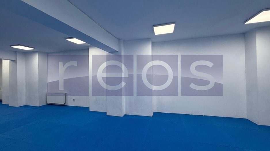 INCHIRIERE SPATIU DEMISOL | BARBU VACARESCU  | 196MP | - Poză 3