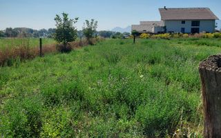 Vanzare teren intravilan 867 mp, Cartierul Stupini, Brașov - Poză 2