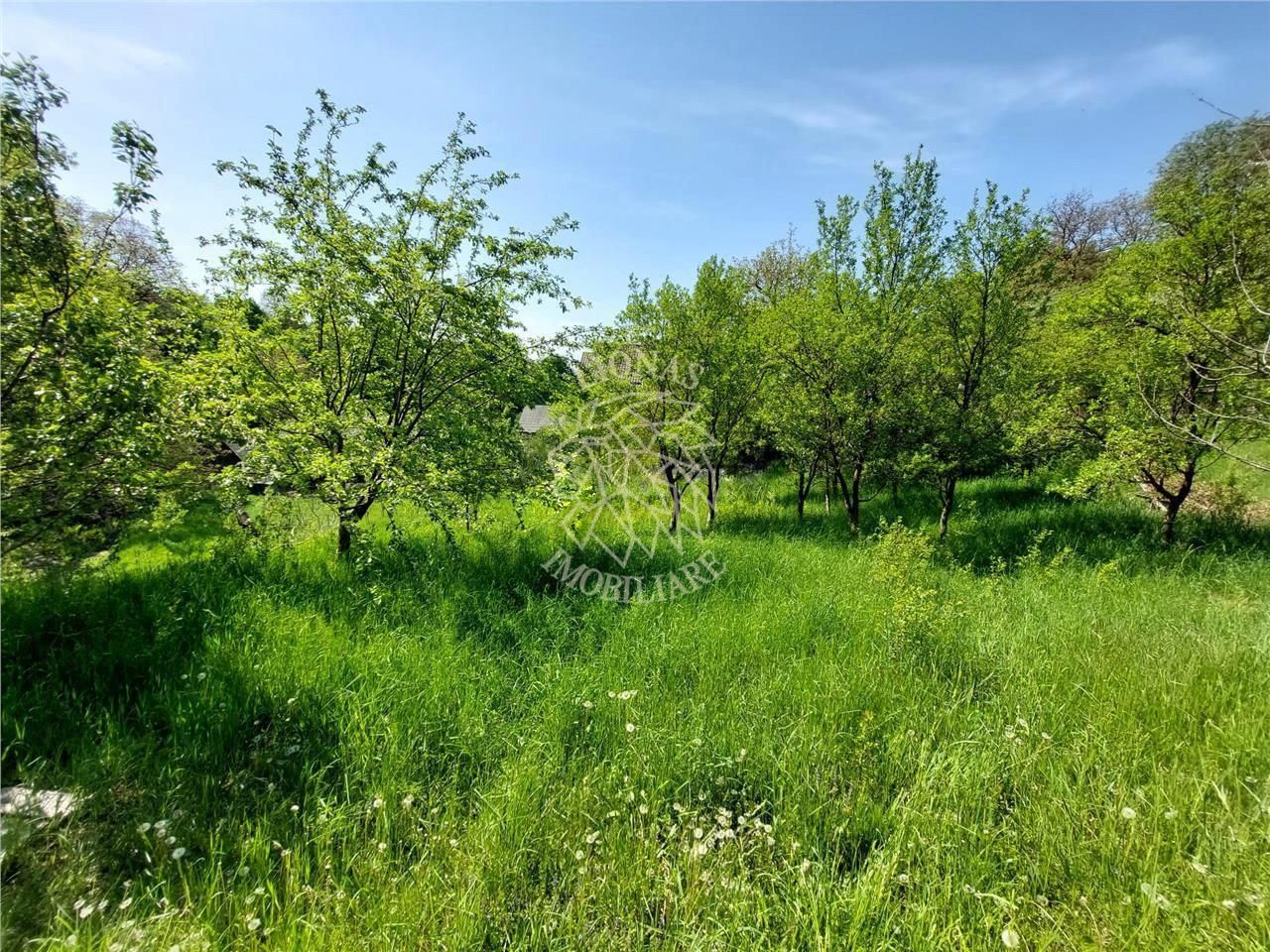 Cabana/ Casa Vacanta-4 camere-gradina 7400 mp- Mijlocenii Bargaului - Poză 5