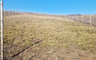 Teren cu priveliște superbă spre Sibiu și munți – Șura Mare - Poză 2