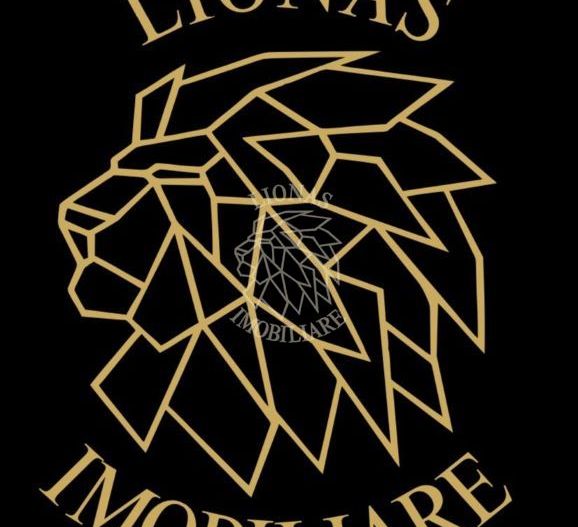 CASA ultracentrala, Zona Istorica , teren 906 mp, EXLUSIVITATE - Poză 3