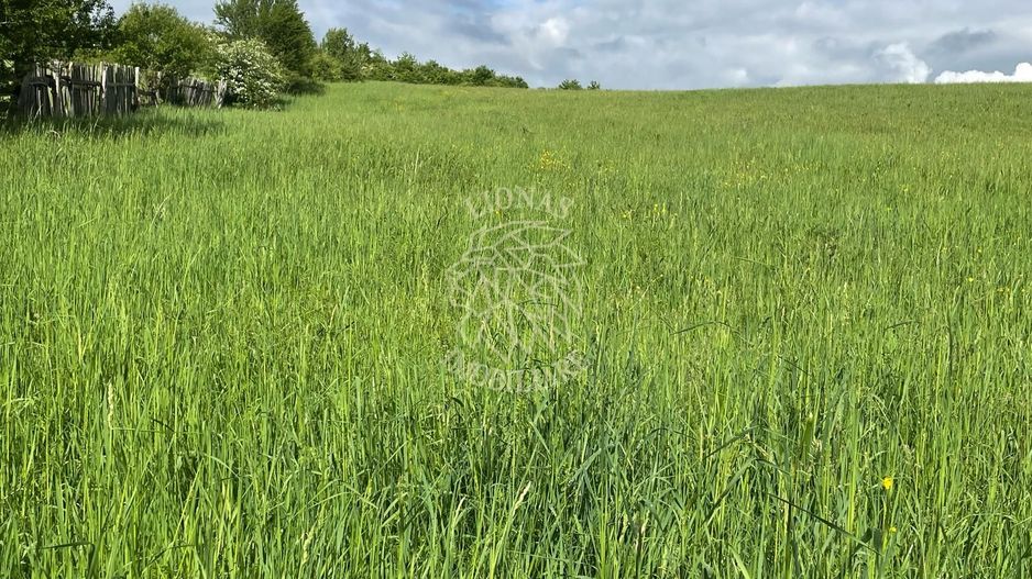 Teren intravilan 631 mp cu utilitati-ideal casa-Sigmir - Poză 3