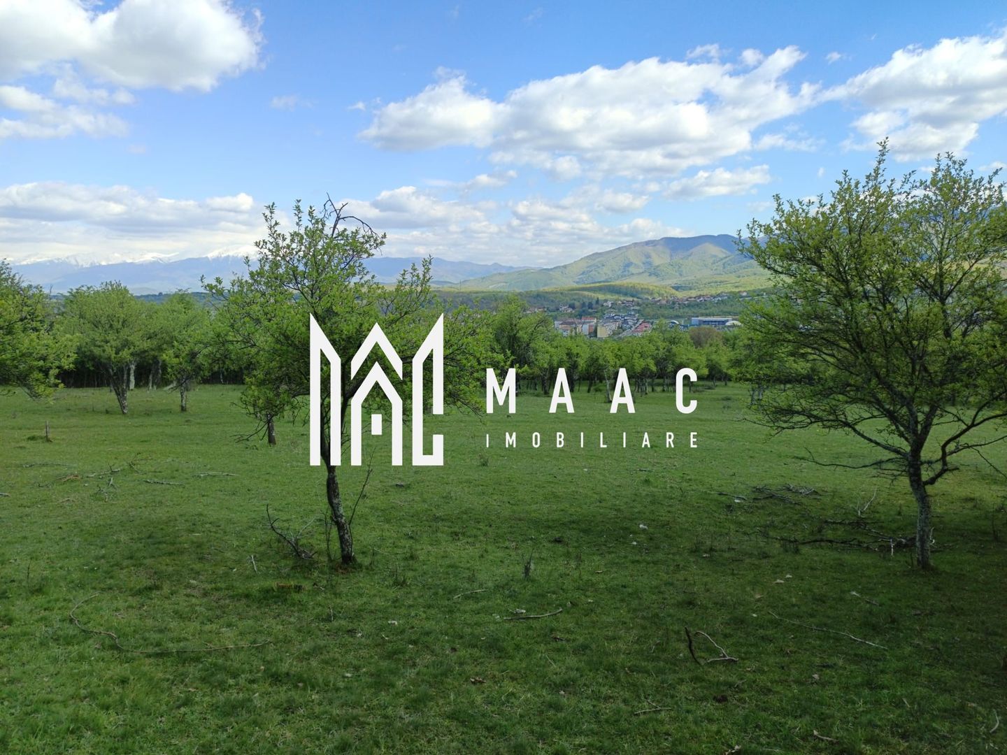 Teren Extravilan I Cisnadie I 3.506 MP - Poză 2