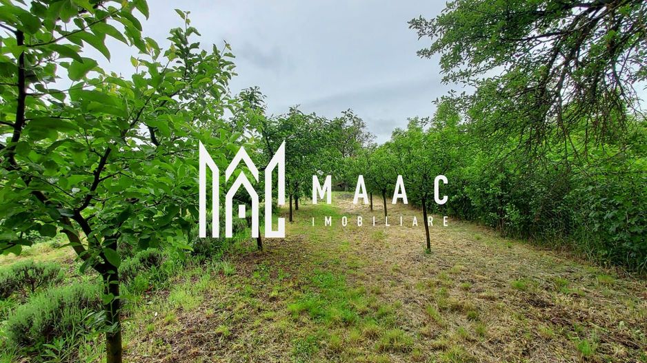 Black Friday | Casa | 1331 mp Teren | Miercurea Sibiului | - Poză 11