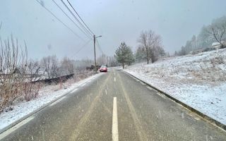 Casă individuală 5 camere | 1750 TEREN | Livadă proprie | PET FRIENDLY - Poză 39