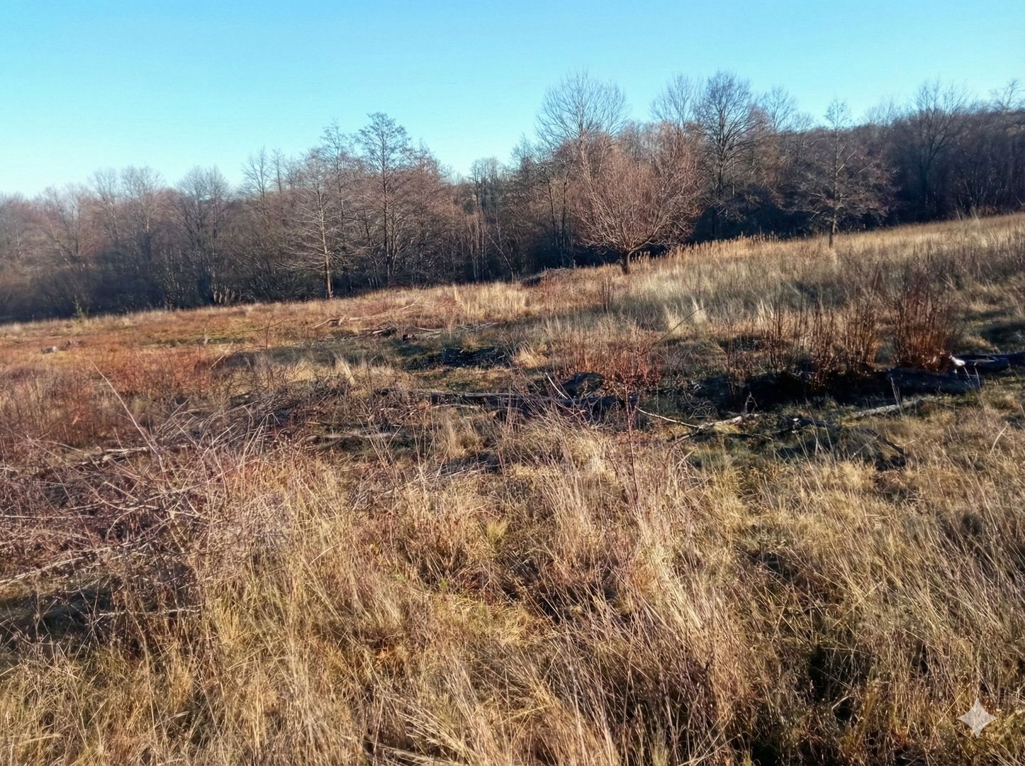 Teren extravilan | Vicovu de Jos | Preț 27.000 | Negociabil - Poză 5