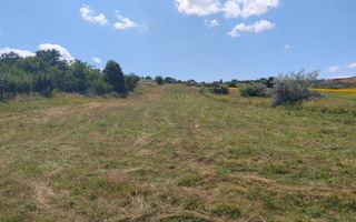 Teren de vânzare în Breazu, Rediu – acces facil la șosea și transport public - Poză 2