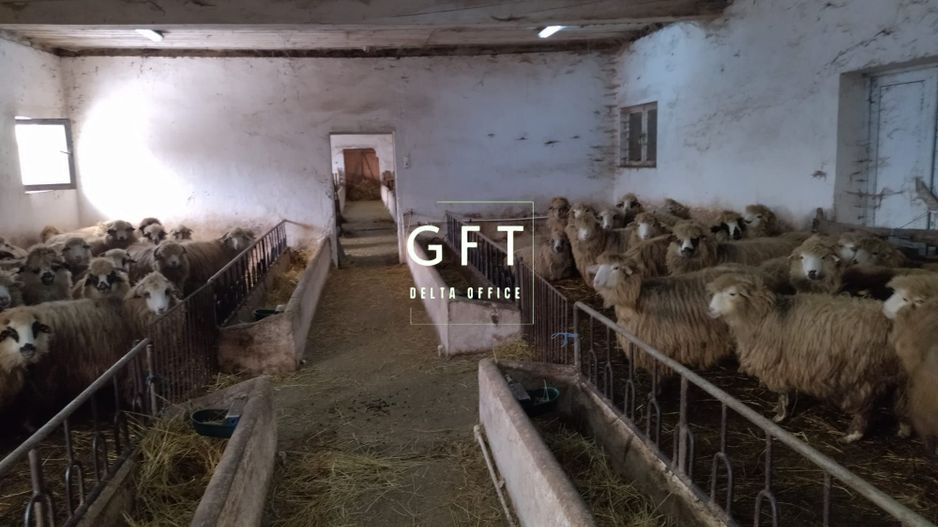 Hala de vanzare Bistrita Nasaud-3.9 km fata de Bistrita - Poză 5