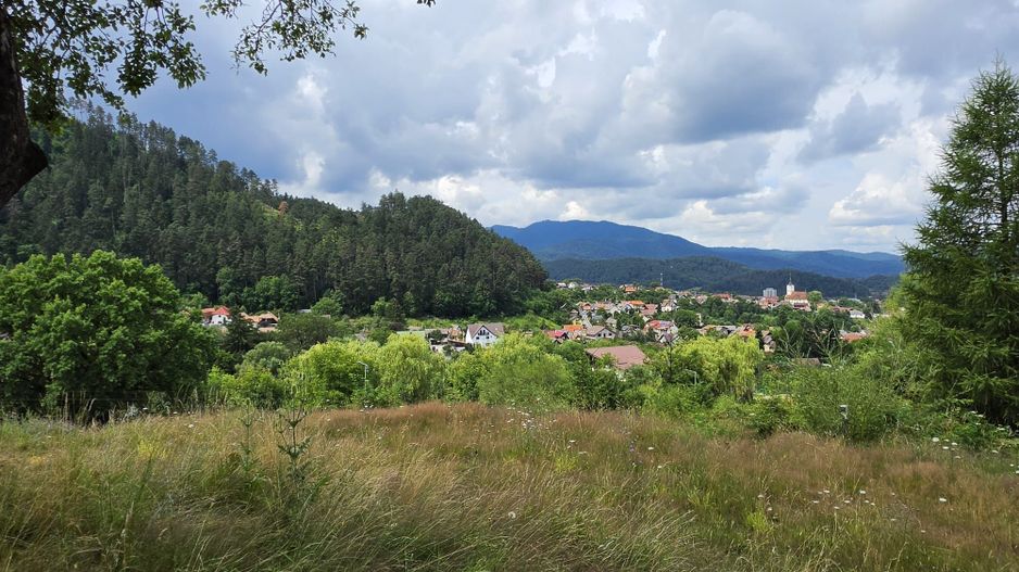 Teren intravilan cu vedere panoramica Sacele, Brasov - Poză 1