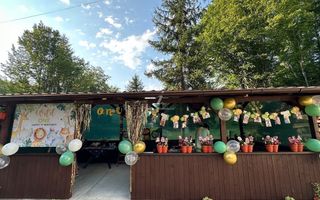 Casa individuala 8 camere | 575 mp teren I Porumbacu de Sus - Poză 7