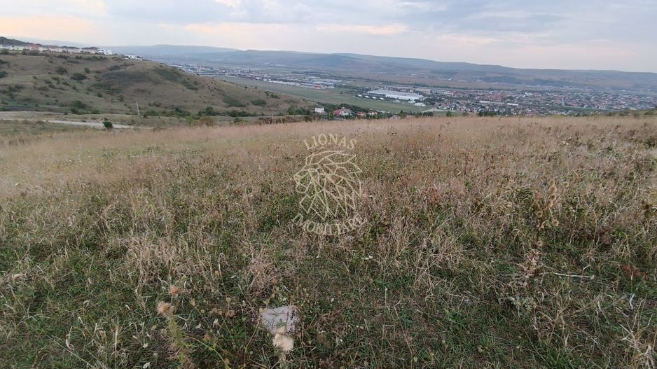 Teren intravilan 9400 mp,  ideal constructii, Dezmir, jud Cluj - Poză 5