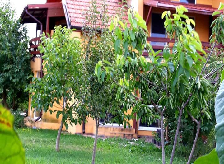 Loturi de teren pentru constructii de case in Paradise Valey - Poză 14