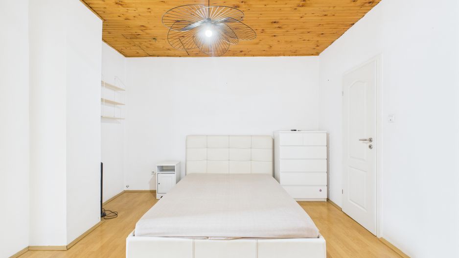 Casă / Vilă cocheta cu 3 camere - de vanzare - zona Basarab - Poză 23