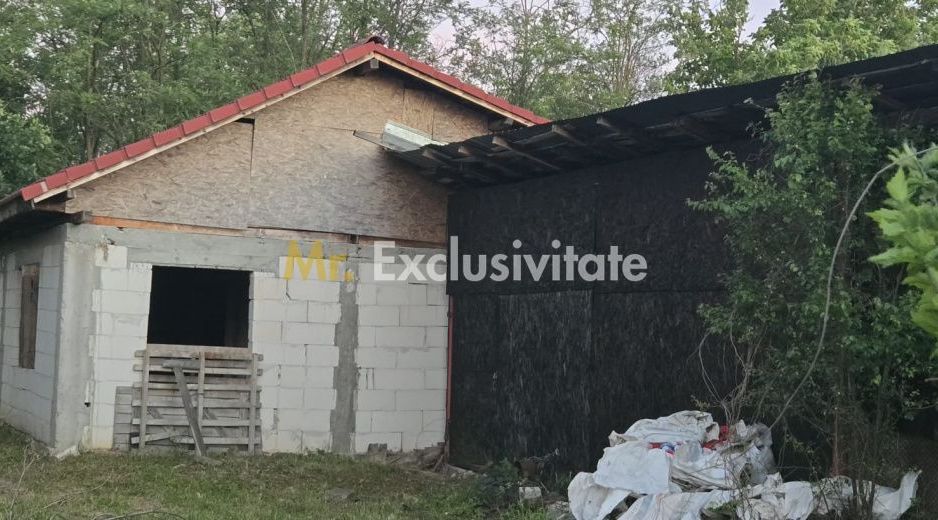 Casă cu 7.769 mp teren și pădure | Budieni | 53.000€ - Poză 9