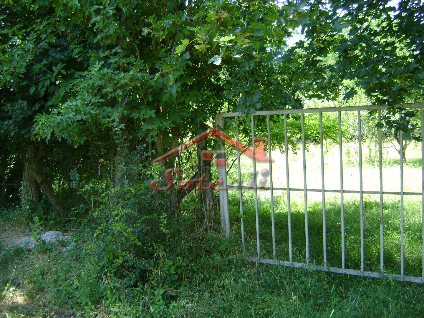 Teren de vanzare in Cornu 1585 mp - Negociabil - Poză 2