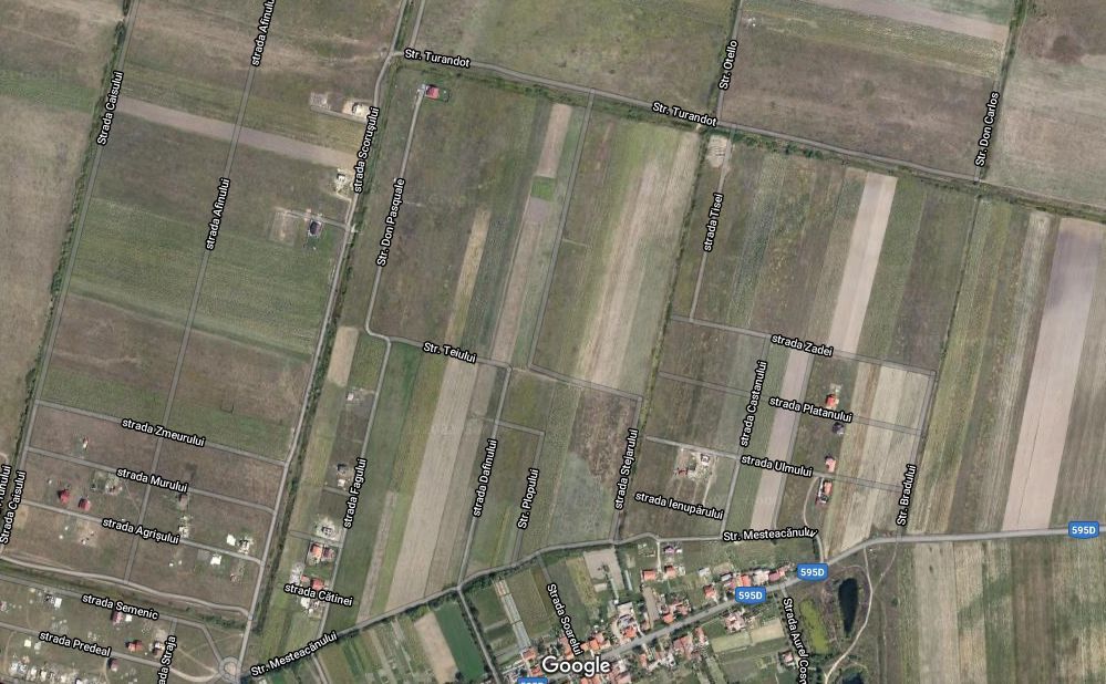 TEREN MOSNITA VECHE - Poză 4