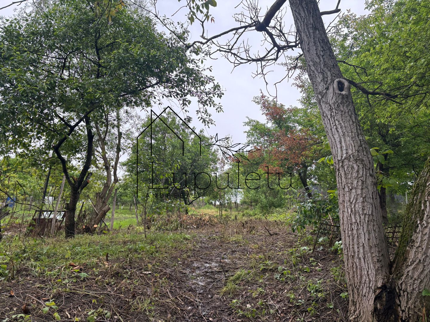 Casă de Vânzare în Bungard | 150 MPU | 2 Corpuri de Clădire - Poză 26