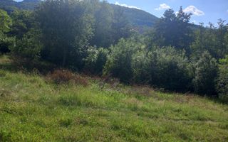 Teren în Fântânele – 3.673 mp, pârâu si cadru natural  deosebit - Poză 4