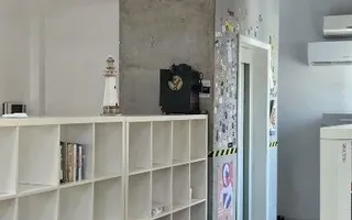 Rosetti birou in vila Istorica reconsolidata | Universitate - Poză 15
