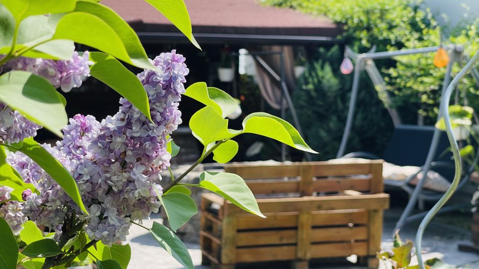 OFERTA VANDUTA - Casa Sacalaz - curte superba | 180 mp, 5 camere - Poză 7