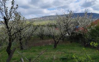 Teren intravilan de vanzare, comuna Barnova, judetul Iasi, 1150 mp, utilitati, destinatie constructie - Poză 2