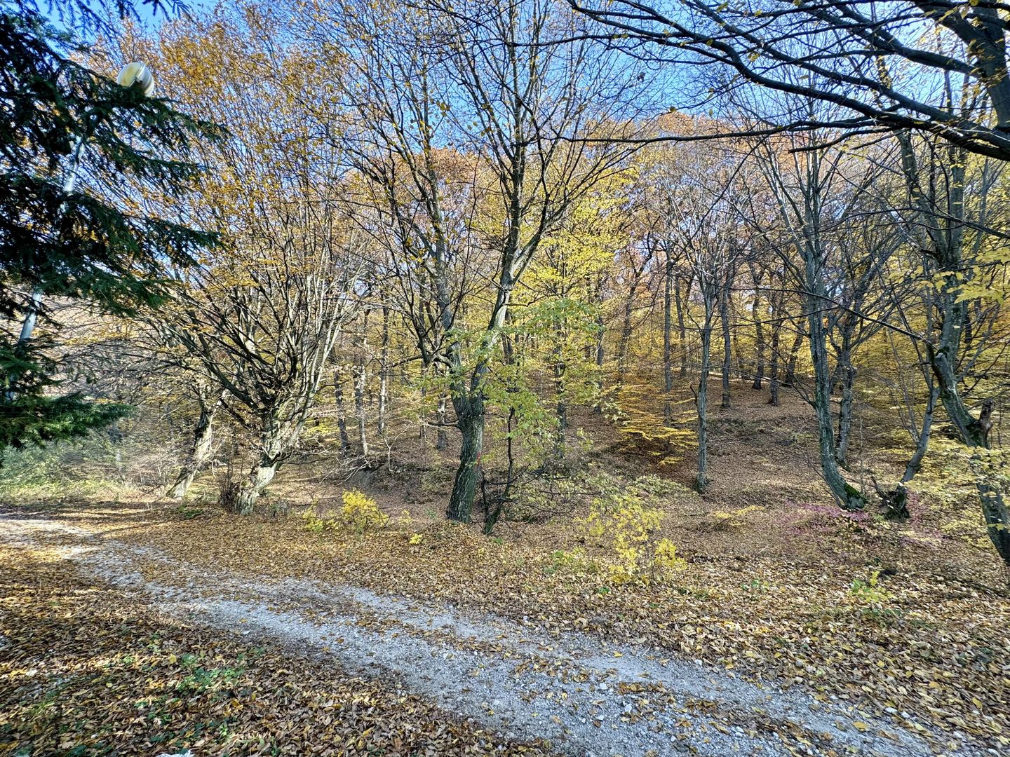 Vilă individuală de vânzare în Râșnov, Zona Primăverii | Natură și Confort - Poză 9