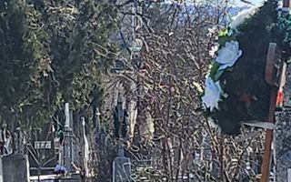 Cavou cu 2 locuri în Cimitirul Eternitatea, Iași - Parcela 4 - Poză 3