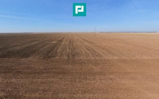Teren agricol cu suprafața de 29.900 mp - Poză 8
