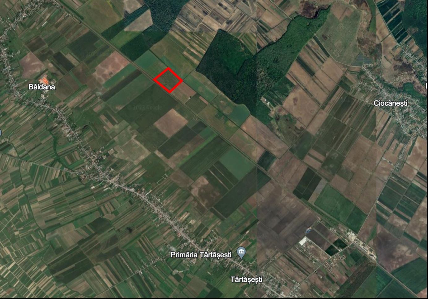 Teren agricol 13,5 hectare | Tartasesti | Ciocanesti | DB - Poză 1