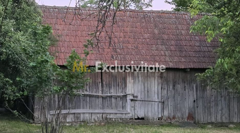 Casă cu 7.769 mp teren și pădure | Budieni | 53.000€ - Poză 11
