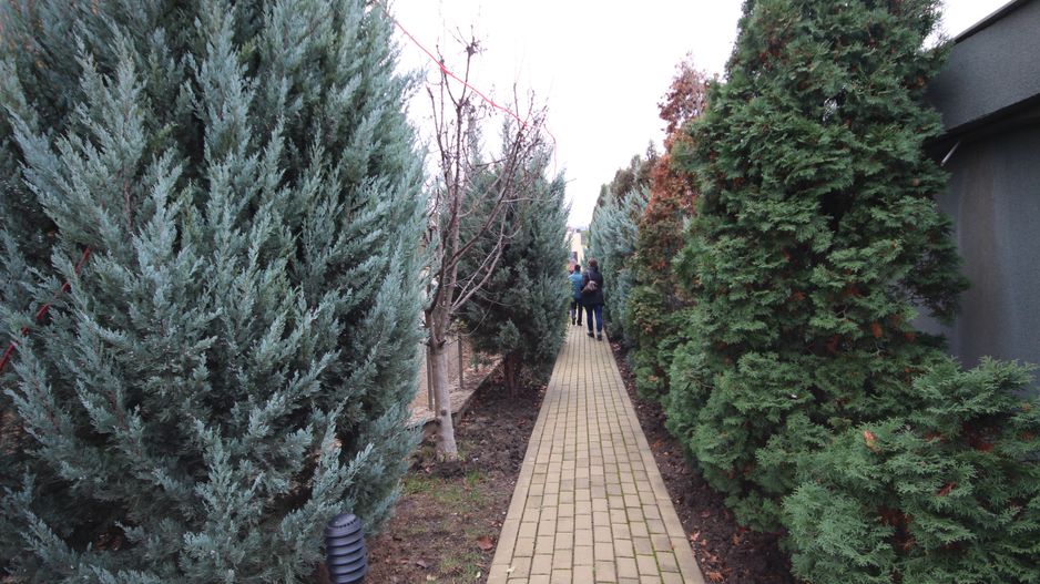 Casa pretabila birouri, camin de batrani - Poză 138