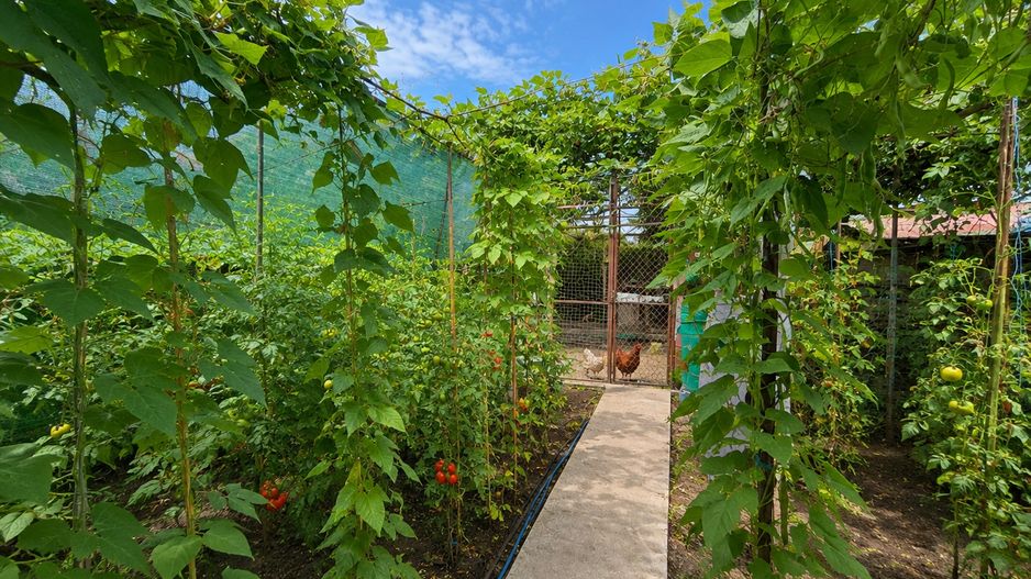 Casa P+1 | 317 mp teren | Ovidiu - Poză 33