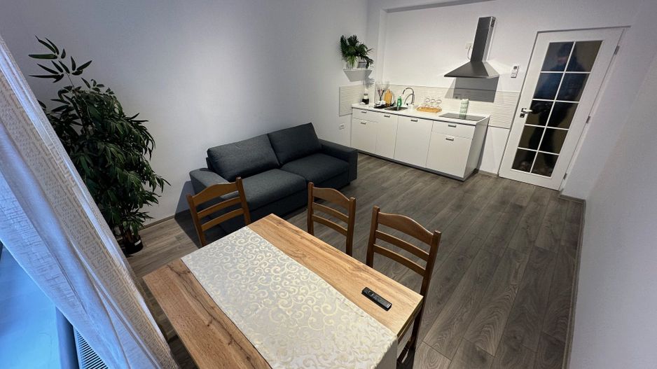 Casa Lipovei transformata in SAD - Poză 6