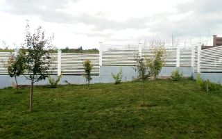 Casă cu 5 camere de inchiriat | Cartierul Borhanci - zonă de case - Poză 15