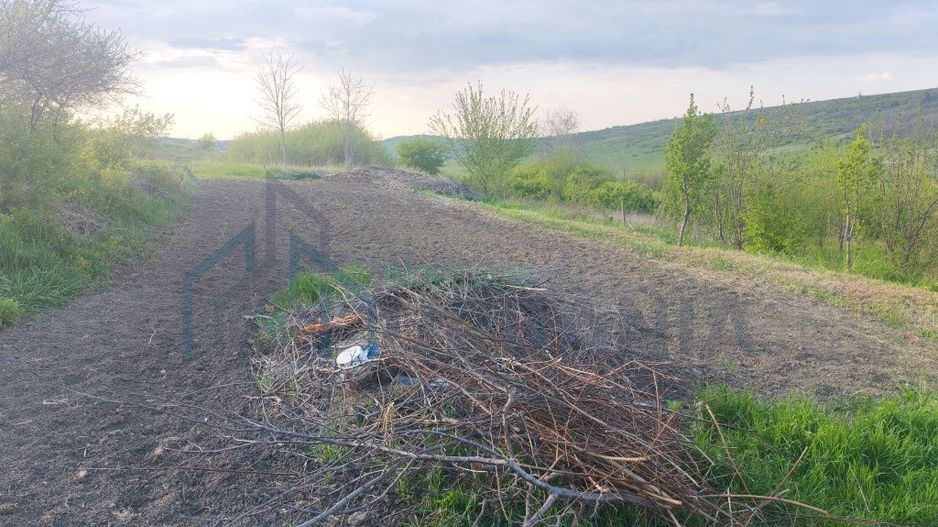 Teren intravilan de vânzare în sat Vânători, comuna Popricani, județul Iași - Poză 2