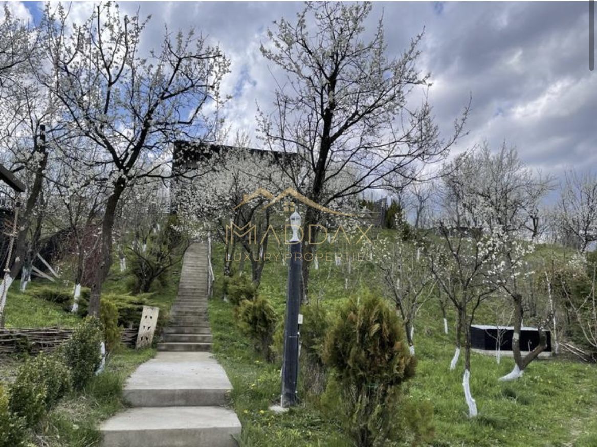 Casa de vacanta**Panorama spectaculoasa//Provita de Jos_Prahova - Poză 1