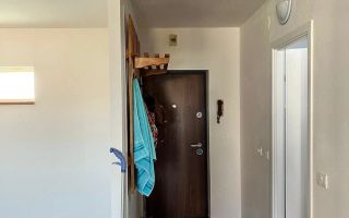 Apartament cu 1 camera zona Elisabetin - Poză 5