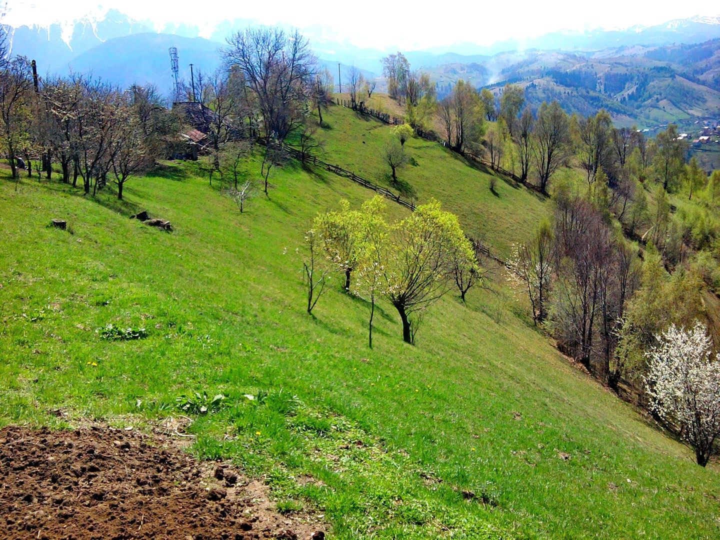 teren intravilan in zona Magura Bran - Poză 2
