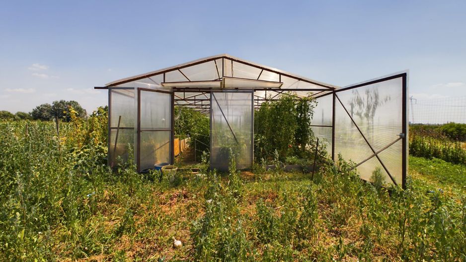 TEREN EXTRAVILAN  CU SOLAR IN GAI - Poză 4